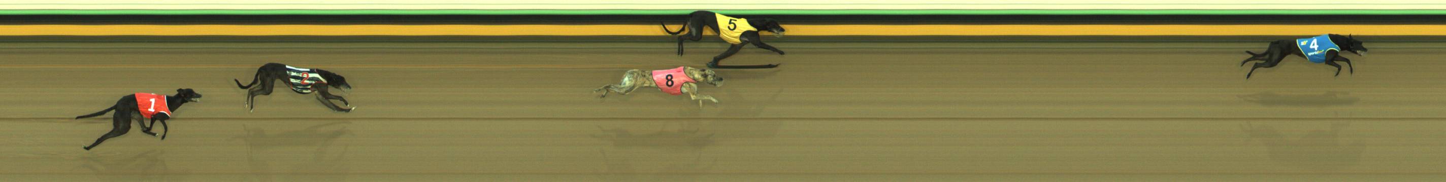 Race result finish photo